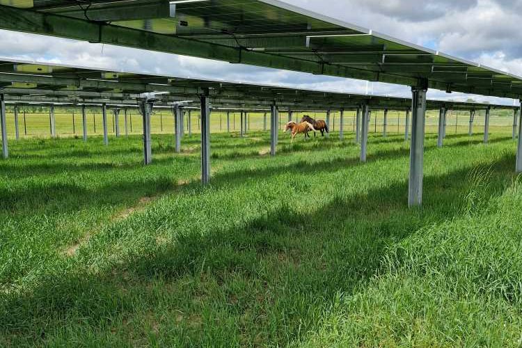 Agri-PV-Anlage von Smart Solar