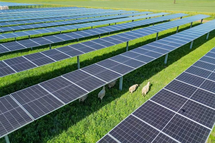 Agri-PV-Anlage von Smart Solar